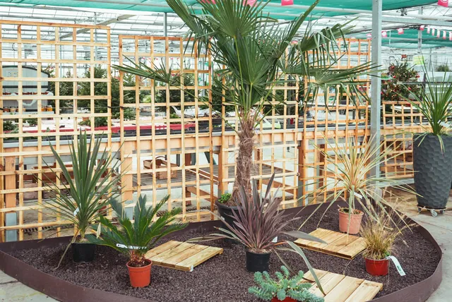 La Végétalerie de Fontaines : Horti Sologne