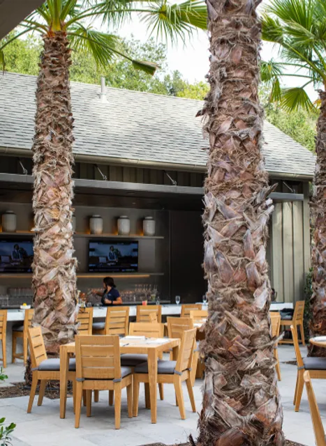 The Terrace Café at Meadowood Napa Valley. Seasonally open to Meadowood Guests and Meadowood Club Members