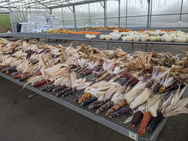 Randy's Raisings Inc