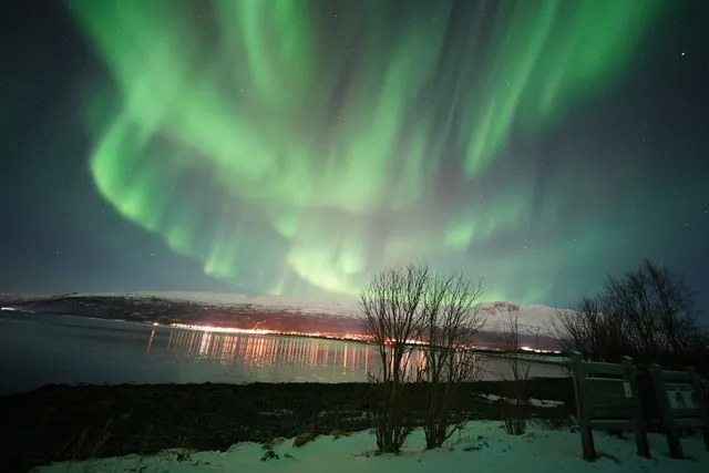 Spiritinthesky.Northern Lights & Fjord tours.