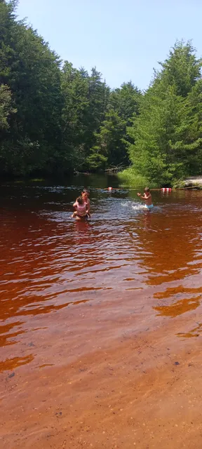 William J Dudley park