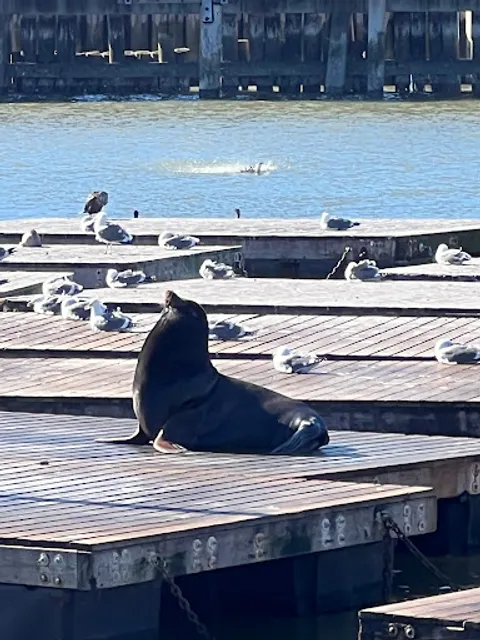 San Francisco Carousel at Pier 39