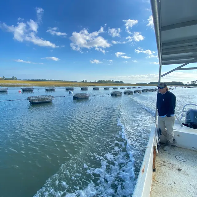 Charleston Oyster Farm
