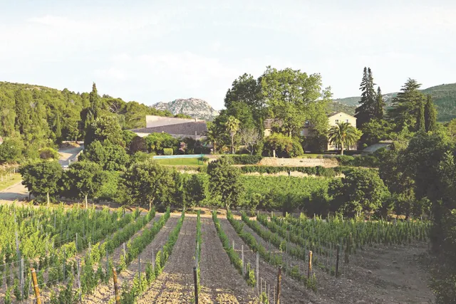 Château Haut Gléon