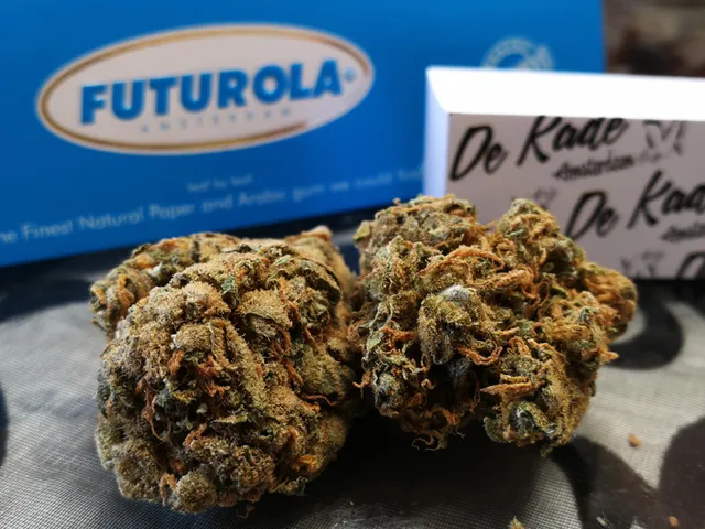 Coffeeshop "De Kade"