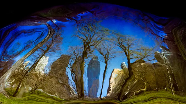 Lord & Andra Gallery