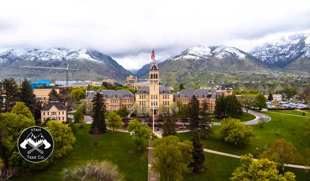 Utah Tree Co