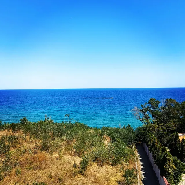 Sunny House Apartment 36