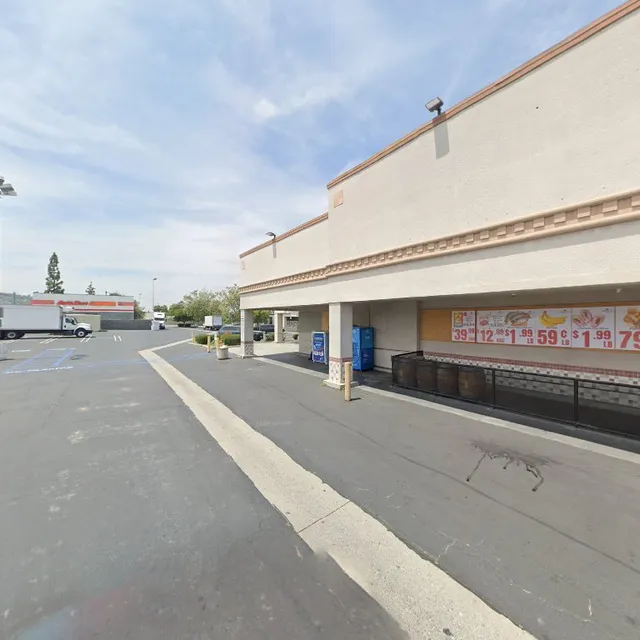 Taco Arbolito de Tule