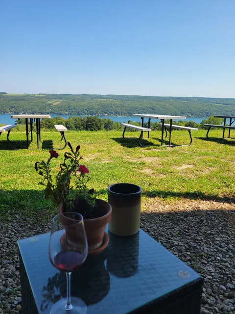 Divided Sky Vineyard