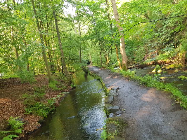 Rivelin Valley Conservation Group in Sheffield, United Kingdom ...