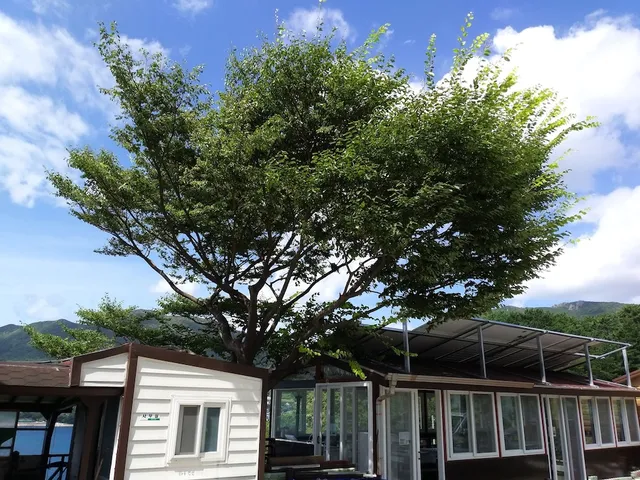 A day in Geoje Pension