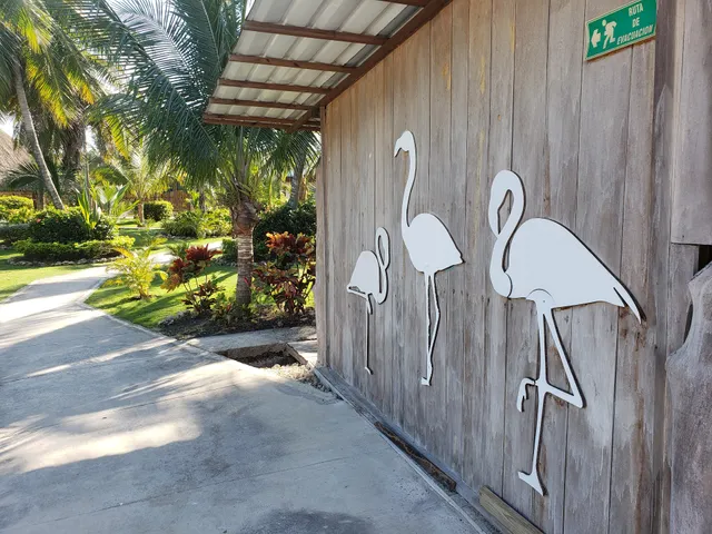 El Pescador de Colores