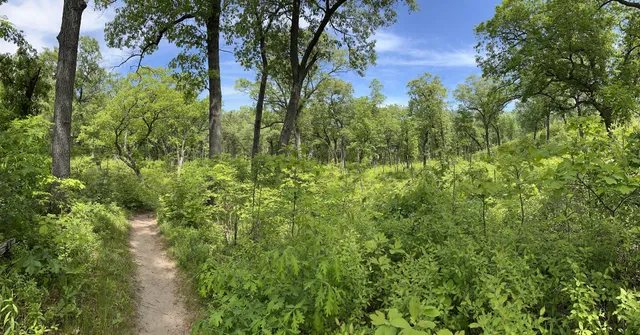 Dune Ridge Trailhead