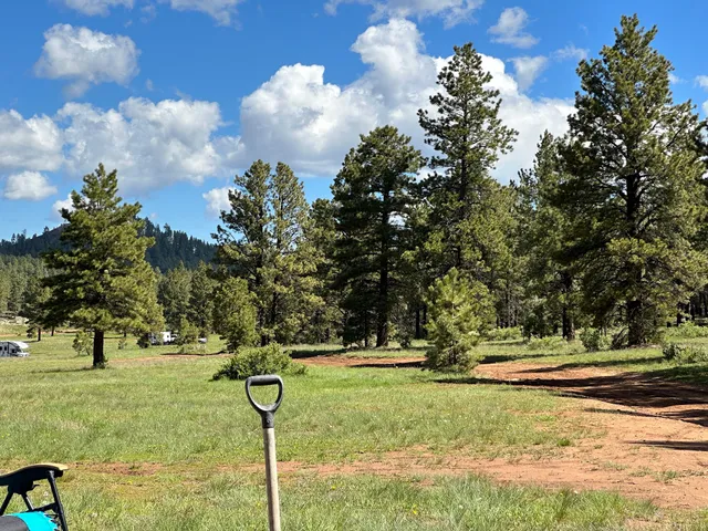 Uinta Flat Designated Dispersed Camping Area