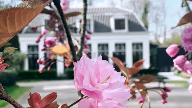 The Theeschenkerij Velserbeek