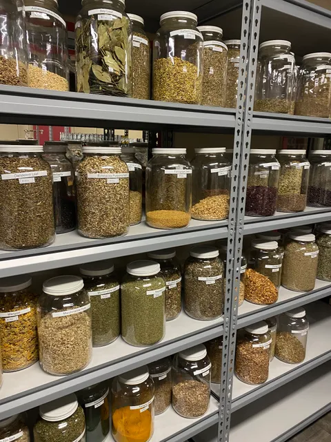 Our Little Red One Shop