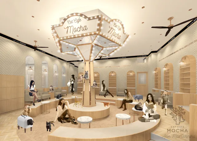 cat cafe MOCHA AEON MALL Mitouchihara Store