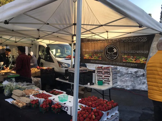 Twin Peaks Farmers Market