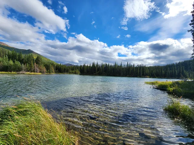 Horseshoe Lake Trailhead