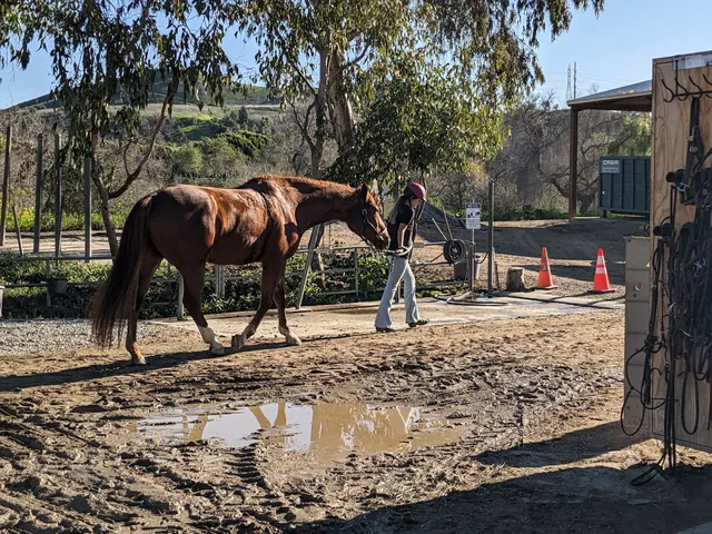 Mission Trails Stables