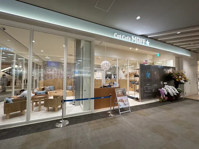 Cat Café MOFF Seven Park Ario Kashiwa