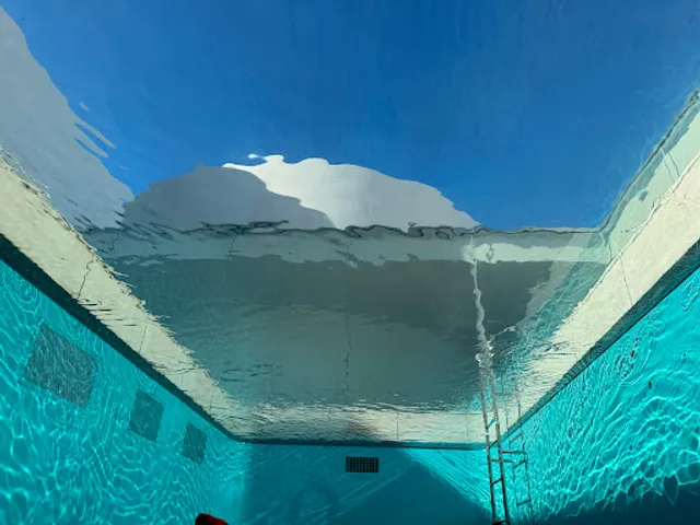 スイミング・プール