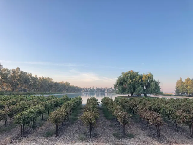 Valensin Vineyard & Winery