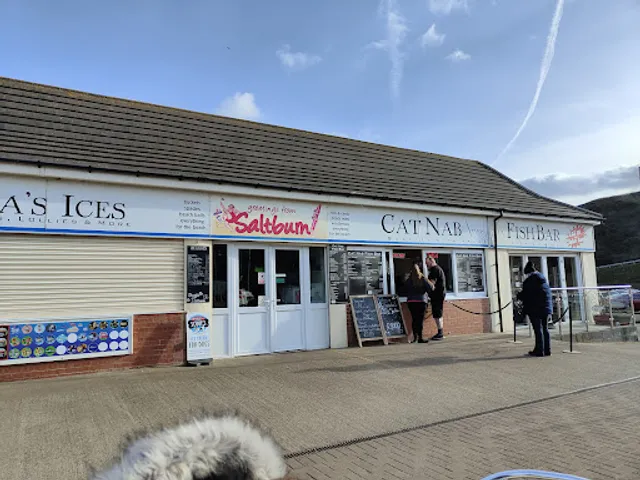 Cat Nab Fish n Chips