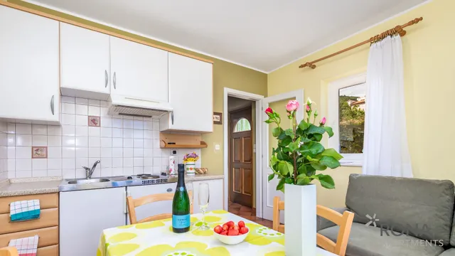 Rona apartments Ani 1/2/3