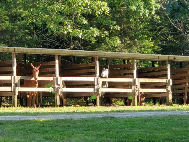 Slabtown Horse Camp LLC (formerly Slabtown Trail Rides)