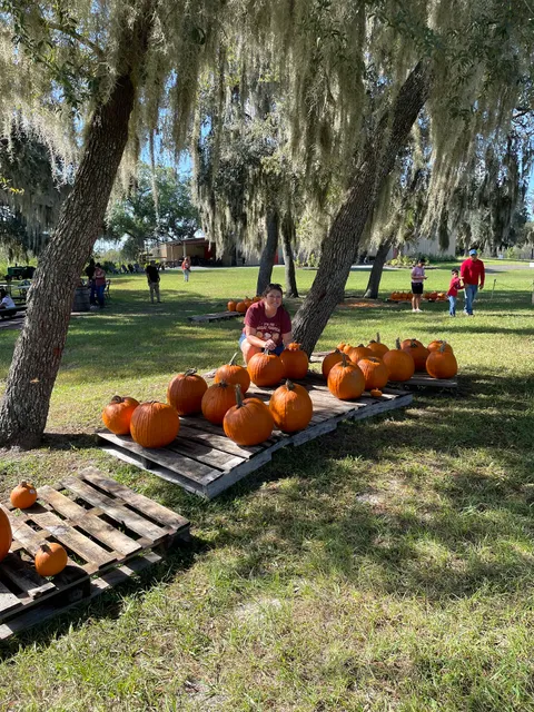 The Vineyards at Black Willow
