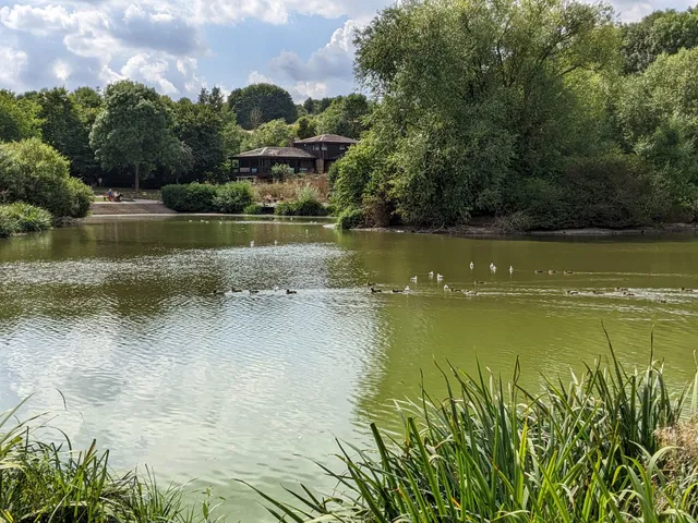 Capstone Farm Country Park