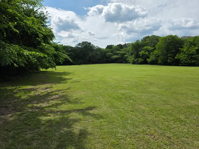 Lester Lorch Park - Coyote Disc Golf