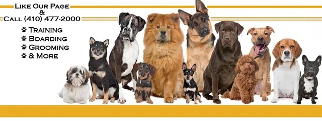 K-9 Koncepts Baltimore Dog Training