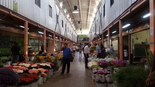 Flower and Plant Market
