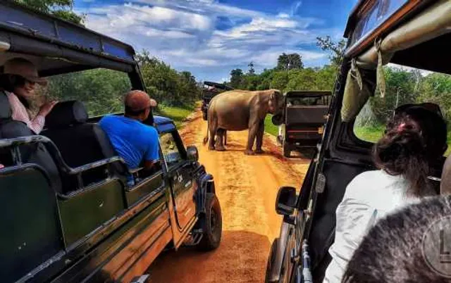 Yala Safari Team / Jeep Safari in Yala National park