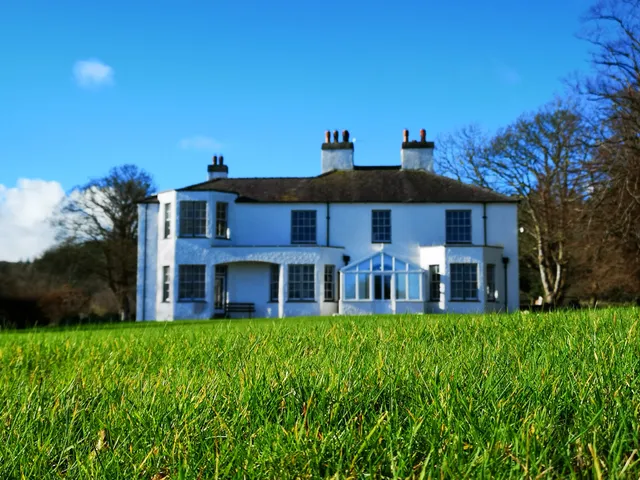 Plas Cichle - The Plas