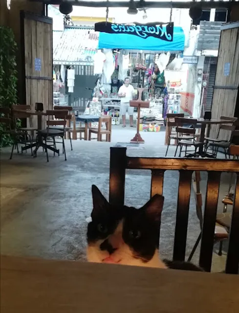 Morgan's Restaurante & Margaritas Bar