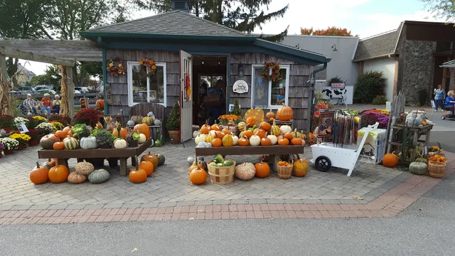 Old Candle Barn - Gift Shop