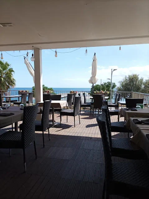 New Albatros di Maria Malvaso