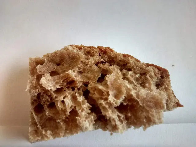 Silver Falls Bread Company