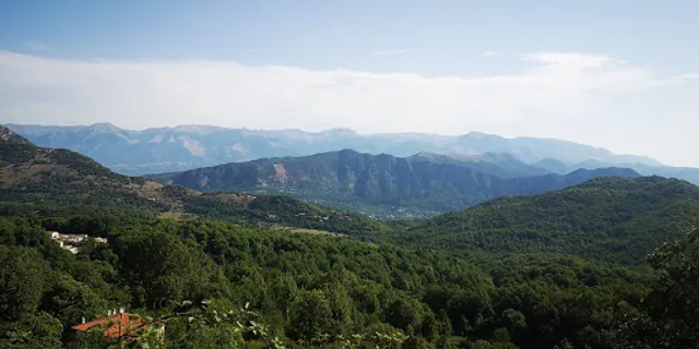 Bar Reale Terelle FR