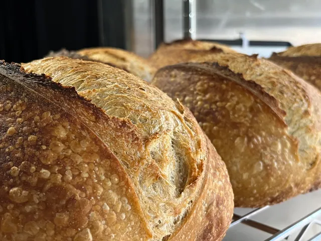 Crustic (Formerly Untitled Baking Project)