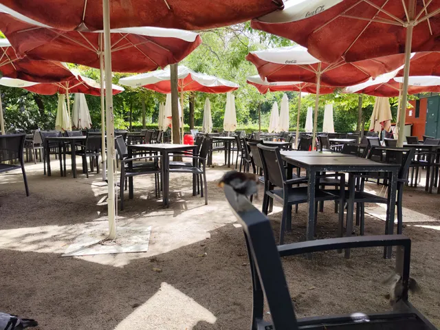 Bar Mirador La Rosaleda