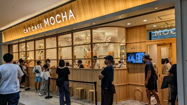 cat cafe MOCHA AEON MALL Kofushowa Store