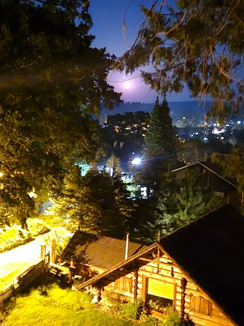 Willa Laser - Sun Seasons 24