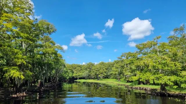 Airboat Rides at MIDWAY