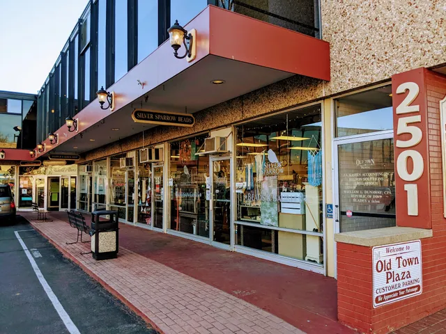 Silver Sparrow Beads