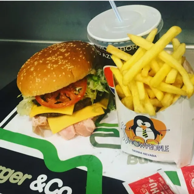 Burger & Co Sierra Nevada